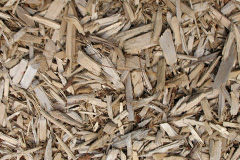 biomass boilers Hartshill
